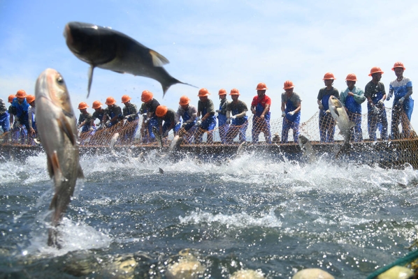 赤峰胖頭魚攝影電話號(hào)碼查詢-第1張圖片