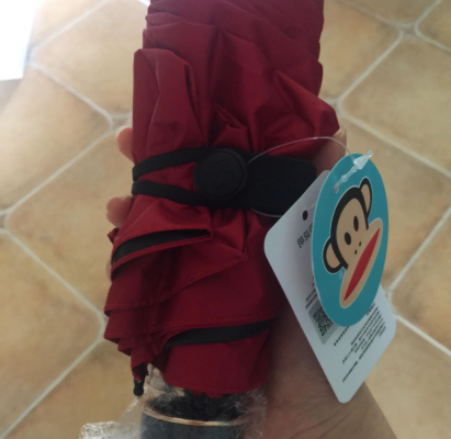 赤峰大嘴猴-第1張圖片