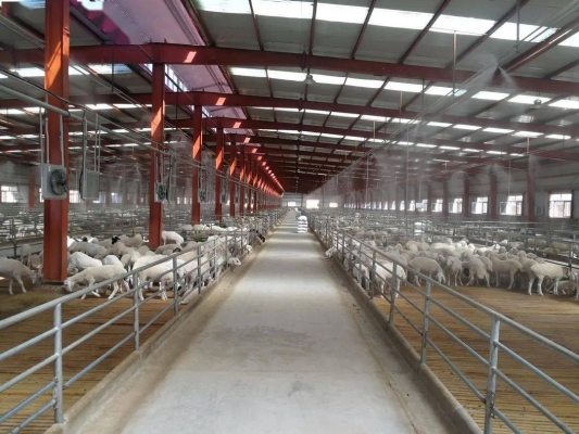 赤峰小動(dòng)物服裝出租電話(huà)號(hào)碼-第1張圖片