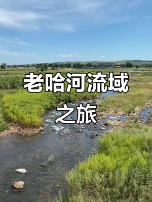 赤峰寧城縣日租車公司電話號碼-第1張圖片