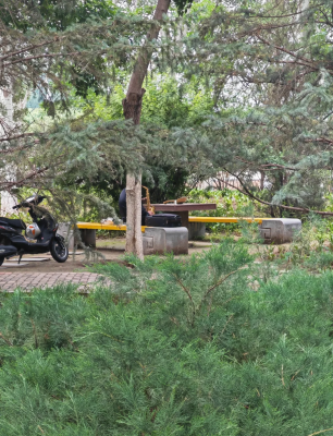 赤峰紅綠燈拍照-第1張圖片