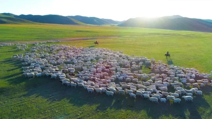 赤峰曲家溝酒廠電話號(hào)碼查詢-第1張圖片