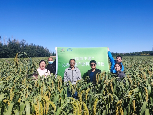 赤峰回敖漢出租車電話號碼-第1張圖片