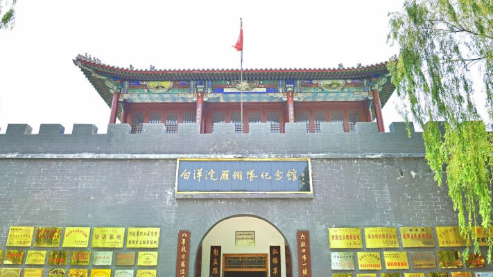 赤峰鴻鷹真人cs基地電話號碼-第1張圖片