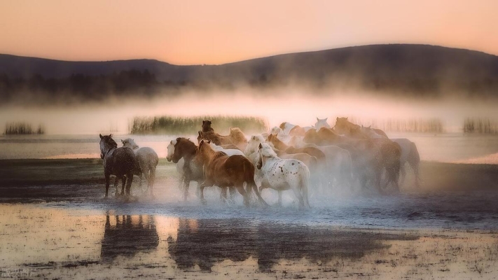 赤峰攝影師金庫(kù)電話號(hào)碼查詢-第1張圖片