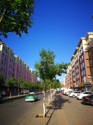 赤峰紅山防疫站電話號碼是多少-第1張圖片