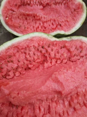 赤峰土豆丸子批發(fā)電話多少號(hào)-第1張圖片