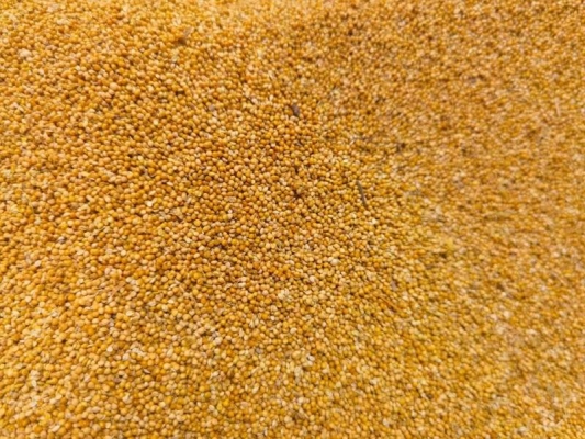 內(nèi)蒙赤峰紅豆種植基地電話(huà)號(hào)碼-第1張圖片