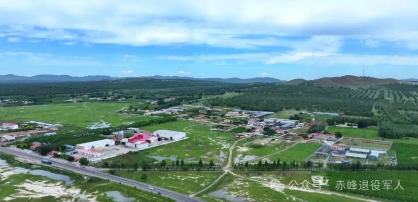 赤峰柒悅嫁衣店電話多少號-第1張圖片