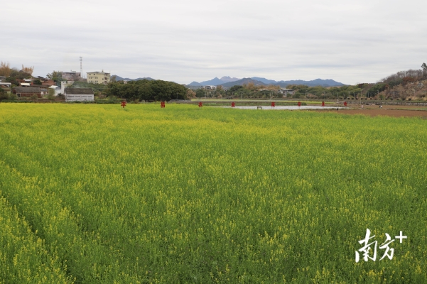 赤峰市合水鎮(zhèn)政府電話號碼-第1張圖片
