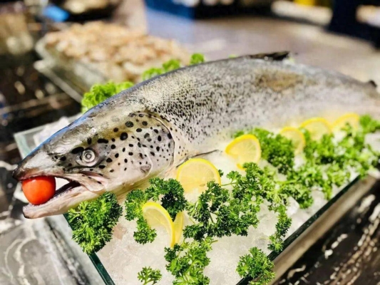 赤峰萬達駱駝宴訂餐電話號碼-第1張圖片