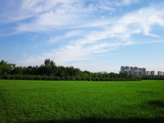 赤峰市石博園管理電話號(hào)碼-第1張圖片