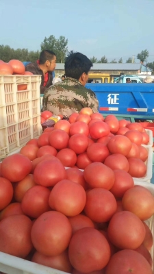 赤峰回寧城的私家車電話號碼-第1張圖片