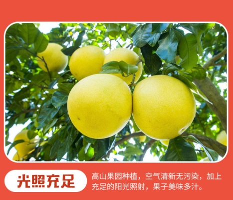 赤峰紅柚團購電話號碼查詢-第1張圖片