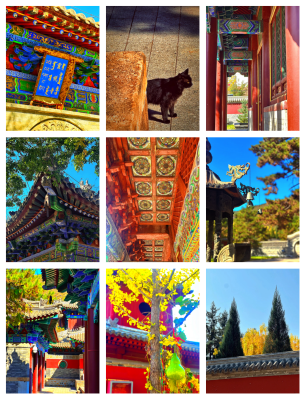 赤峰錦山網(wǎng)咖電話號碼多少-第1張圖片