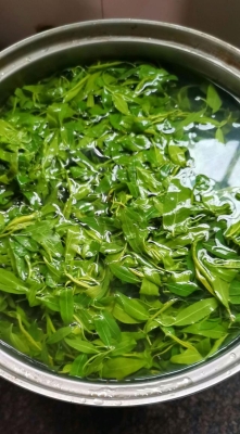 赤峰市收購(gòu)柳樹(shù)芽的電話號(hào)碼-第1張圖片