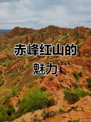 赤峰市紅山珍珍診所電話號碼-第1張圖片