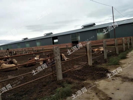 赤峰養(yǎng)殖用品批發(fā)市場(chǎng)電話號(hào)碼-第1張圖片