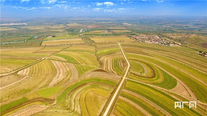 赤峰收曲麻菜電話地址查詢-第1張圖片