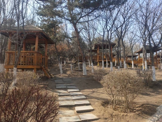 赤峰平莊馬振軍診所電話號碼-第1張圖片