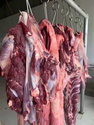 赤峰鑫峰市場(chǎng)驢肉電話號(hào)碼查詢-第1張圖片