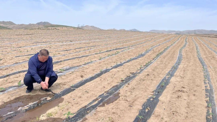 赤峰山鄉(xiāng)教育局官網(wǎng)電話號碼-第1張圖片