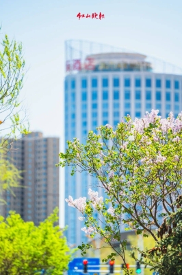 赤峰鑫儲商貿(mào)有限公司電話號碼-第1張圖片