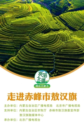 赤峰敖都理發(fā)店地址電話號碼-第1張圖片