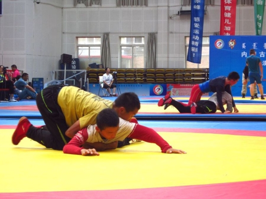 赤峰新峰體育館電話號碼多少-第1張圖片