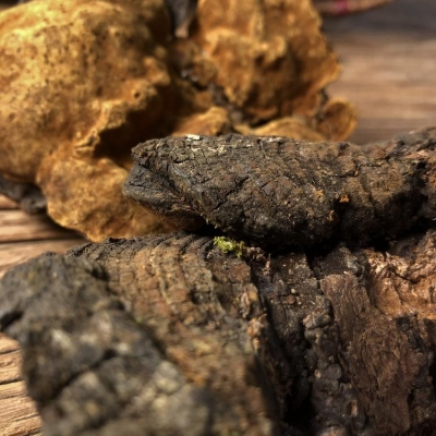 赤峰桑黃實(shí)體店電話地址查詢-第1張圖片