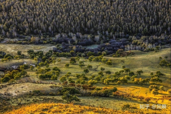 赤峰九聯(lián)田慶國診所電話號碼-第1張圖片