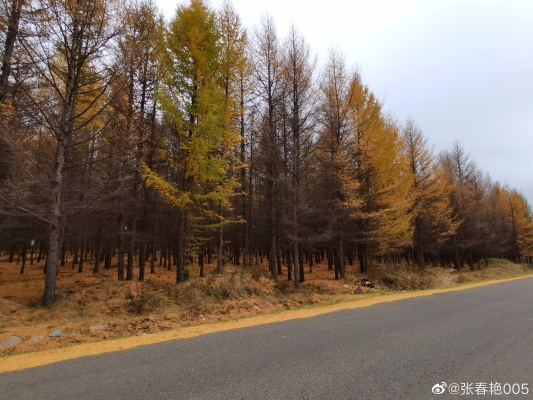 赤峰坑烤山莊電話號碼查詢是多少-第1張圖片