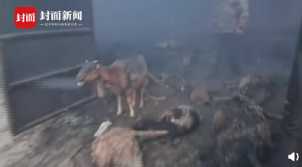 赤峰保溫羊棚電話號碼多少號-第1張圖片