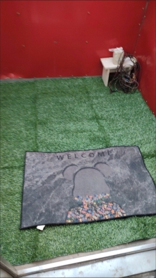 赤峰市人工草皮批發(fā)電話號(hào)碼-第1張圖片