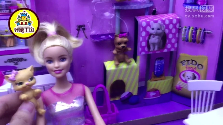 赤峰芭比寵物店電話號碼多少-第1張圖片