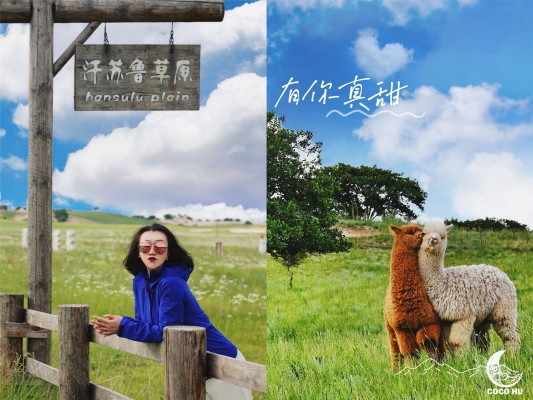 赤峰蒙古包草原酒店電話號(hào)碼-第1張圖片