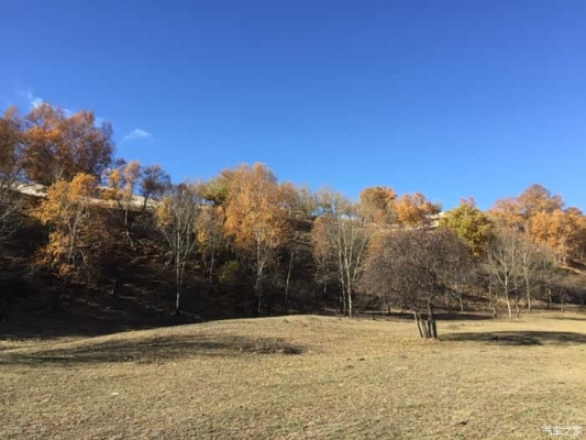 赤峰維聰酸奶棒廠家電話號碼-第1張圖片