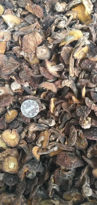 赤峰敖漢錦繡花園店電話號碼-第1張圖片