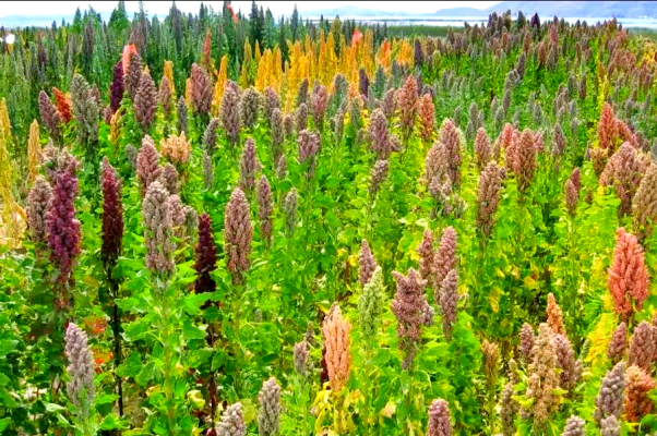 赤峰三西街海綿廠地址電話號(hào)碼-第1張圖片