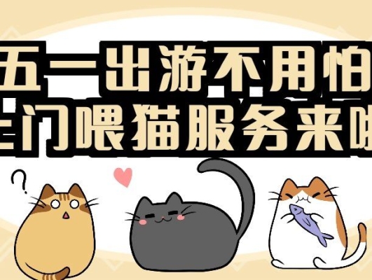 赤峰有上門喂貓的嗎電話號碼-第1張圖片