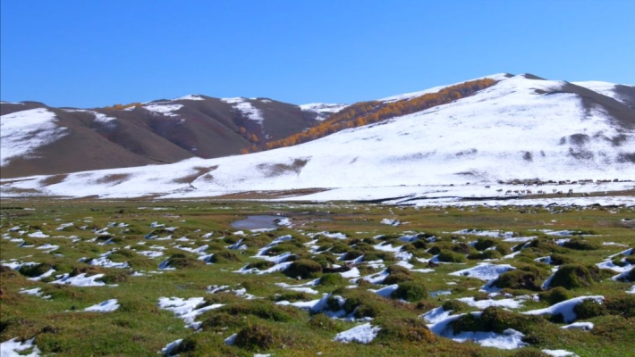赤峰巨能網(wǎng)咖電話多少號-第1張圖片