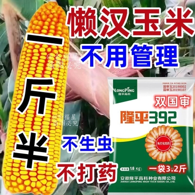 赤峰雙嶺直播間電話是多少號-第1張圖片