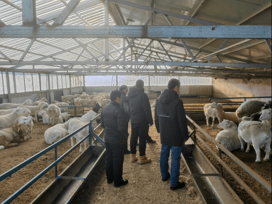 赤峰研磨丸廠家電話號碼查詢-第1張圖片