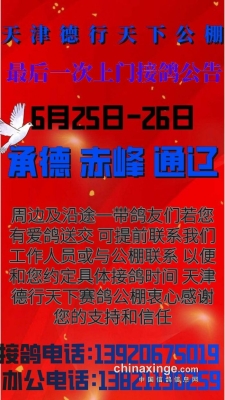 赤峰烤鴿子店電話多少號碼-第1張圖片