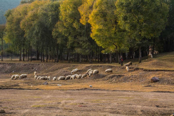 赤峰美林谷商品房出租電話號碼-第1張圖片