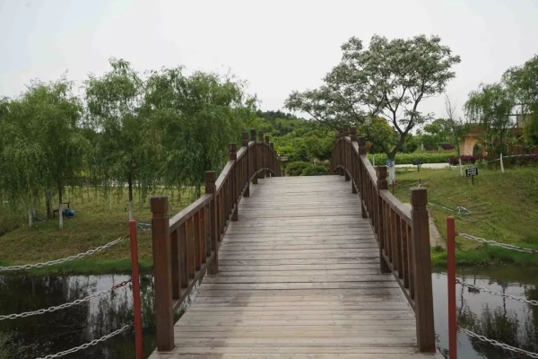 赤峰芳草路岔路口電話多少號-第1張圖片