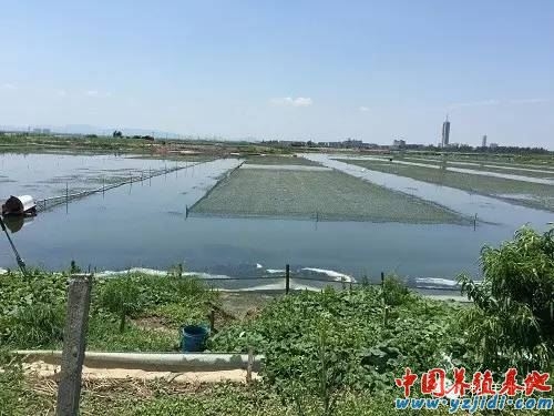 內(nèi)蒙赤峰肉驢養(yǎng)殖基地電話號碼-第1張圖片