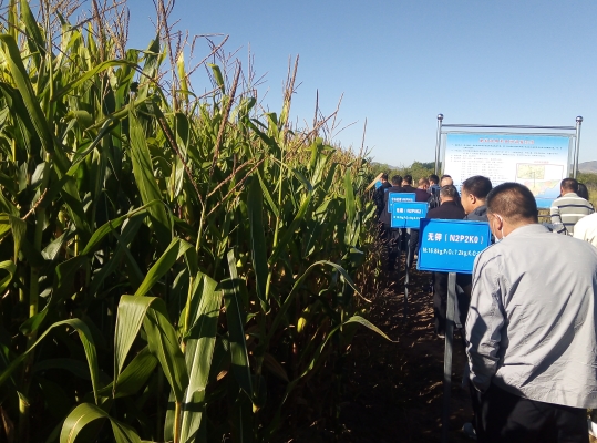 翁旗到赤峰大巴車電話號碼-第1張圖片