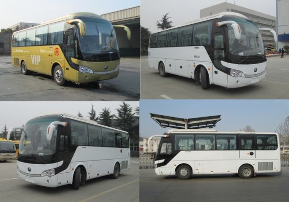 赤峰至科左中旗客車電話號(hào)碼-第1張圖片