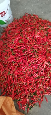 赤峰小米油酥批發(fā)市場電話號碼-第1張圖片